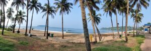 Read more about the article Goa